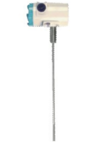 Explosion-Proof RTD with Transmitter Series