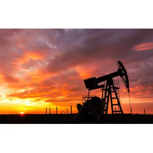 Öl- und petrochemische Industrie